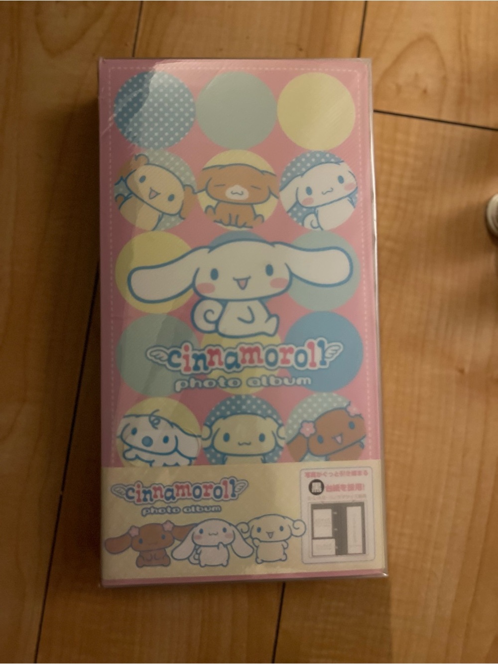 Cinnamon Roll Vintage Photo Album 4x6 Hello Kitty Postcard New